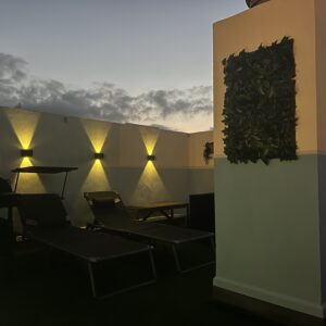 dakterras-casaroos-rojales